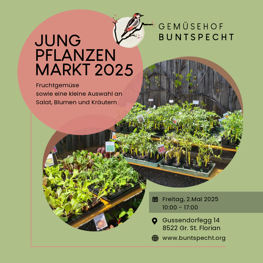 Werbefoto