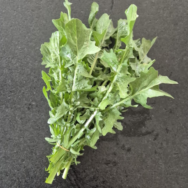 Catalognia Salat