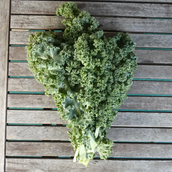 Palmkohl