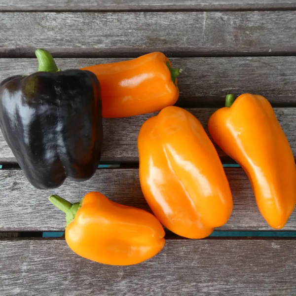 Paprika Mix